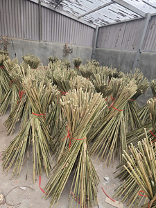 Estacas de bambú natural para jardín, soportes agrícolas para plantas de bambú, estacas de bambú secas al por mayor, calidad premium de Vietnam - Product Image 4