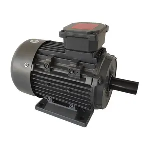 IE2 ie3 động cơ tiêu chuẩn 0.75kw 1HP 1800rpm ye2 hiệu quả cao 0.75kw 1HP tất cả các dây đồng ba giai đoạn điện AC động cơ