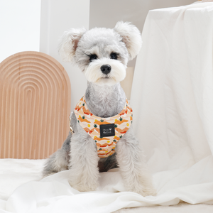 Breathable Cotton Luxury Comfortable <b>Dog</b> Harness Cat Harness Cute Pattern Adjustable Buckle Small Breed Fashion Pet Accessory - Product Image 5