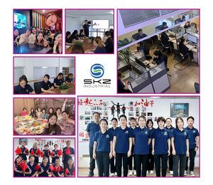 Colorímetro SKZ ColorCat Pro High-End com 0.5S Speed para <span class=keywords><strong>Precision</strong></span> Industry Color Analysis - Product Image 5