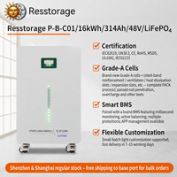 Système de stockage d'énergie LiFePO4 51,2 V 314 Ah 16,08 kWh, sortie constante 8 kW, crête de puissance 10,2 kW pour utilisation résidentielle hybride (CAN)