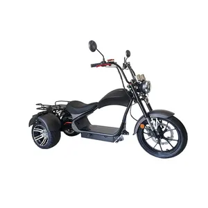 Bestes Citycoco / günstiges Gelände-Elektro-Mobilitäts-Motorrad-Scooter / OEM 3-Rad-Mini-Moped-Motorrad E-Motorrad 50cc mit EWG