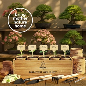 Planter's Choice Kit de démarrage d'arbre à bonsaï d'intérieur unique Source d'alimentation manuelle pour adultes bricolage artisanat passe-temps cadeau pour les amateurs de jardinage - Product Image 5