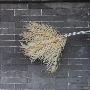 Artificial Areca Palm <b>Leaf</b> Wall Hanging Soft PVC High Simulation Wedding Home Decor Indoor Use - Product Image 2