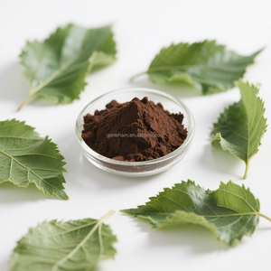 食品グレード10% 天然桑葉エキスMorus Albaハーブ植物エキス粉末状ドラムまたはボトル入り - Product Image 6