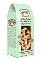 Boîtes à champignons personnalisées imprimées, fabriquées en carton de qualité supérieure, avec logo