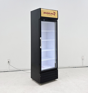 Réfrigérateur-<span class=keywords><strong>congélateur</strong></span> vertical commercial <span class=keywords><strong>avec</strong></span> porte vitrée à refroidissement par air, réfrigérateur de présentation pour boissons gazeuses, pour usage hôtelier - Product Image 5