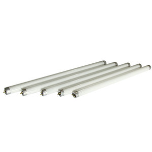 Lámpara <span class=keywords><strong>Fluorescente</strong></span> <span class=keywords><strong>Mata</strong></span> <span class=keywords><strong>Mosquitos</strong></span> de Buena Calidad, Tubo <span class=keywords><strong>Fluorescente</strong></span> Personalizado para Matar <span class=keywords><strong>Mosquitos</strong></span>, Luces de Jardín para Exteriores - Product Image 6