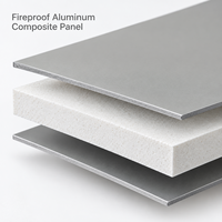 Panneau composite en aluminium ignifuge argenté brillant de 6 mm avec revêtement FEVE pour les panneaux d'entrée de salle d'exposition