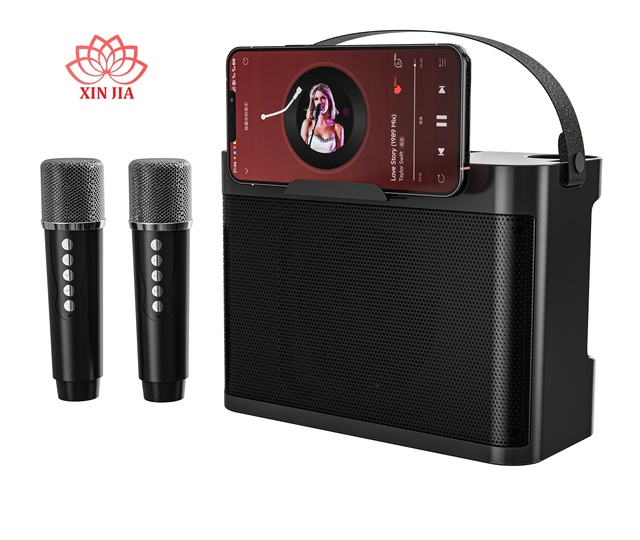 Wholesale Plastic Portable Karaoke Machine PA System Wireless for Speaker Dual Microphone Indoor/Outdoor Battery Powered