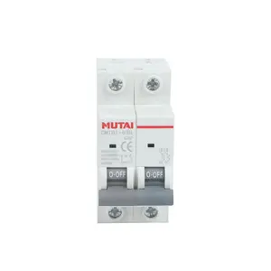 MUTAI Factory High breaking 230v 16 amp 40a 2 pole 2P mcb price 2 pole electrical miniature circuit breaker