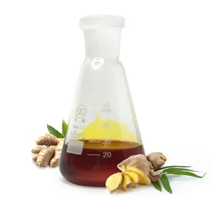 Pure Ginger Essential Oil Supplier Chinese Ginger Oil Bulk for Medical Shampoo