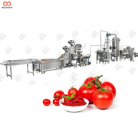 Automatische Kleine Verwerkingsbedrijf Tomatenpuree Productielijn Tomatenpuree Making Machine