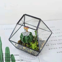 Verre de Terrarium géométrique doré, vente en gros, irrégulier, pour la plantation de plantes succulentes