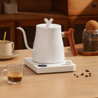 Vente chaude Premium 1000ML Bouilloire électrique sans fil avec contrôle de la température pour faire bouillir l'eau café