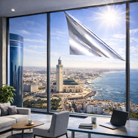 Película de Aislamiento Térmico para Ventanas, Control Solar, Bloqueo de Rayos UV para Vidrios de Edificios Comerciales