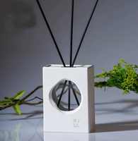 Diffuseur de parfum d'ambiance en plâtre, design minimaliste nordique, creux et visible, sans flamme, éliminateur d'odeurs, décoration