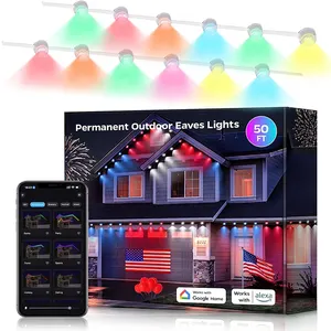 نقطة المناظر الطبيعية بكسل ضوء led rgb في الهواء الطلق عطلة الديكور dmx512 36v rgb نقطة أدى ضوء عيد الميلاد الدائم