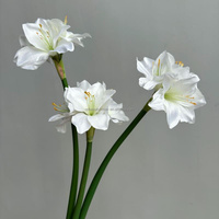 Fleur artificielle réaliste de style chinois C210, Lys de Kaffir fait main, toucher réel, impression 3D, orchidée de haute qualité, Clivia simple