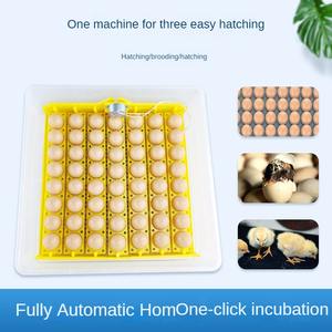 56 incubateur domestique automatique pour poulet canard oie caille oiseaux équipement <span class=keywords><strong>de</strong></span> ponte en un clic avec pour étui pour incubateurs d'oeufs - Product Image 4