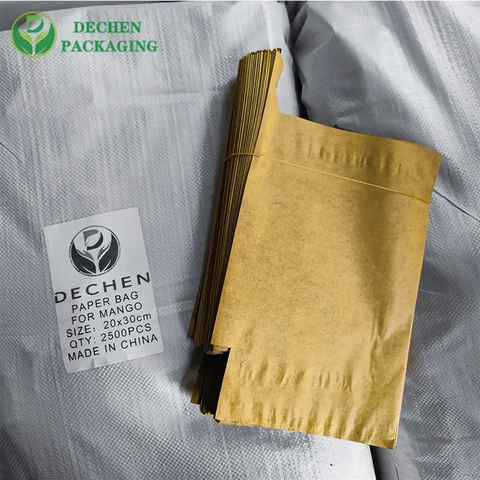 Mango Paper Bag Factory for Mango Paper Bag Exporter - Efficient & Global