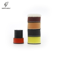 Lot de 5 kits d'accessoires OEM personnalisables pour polissage de carrosserie Roa Mini Car Polisher