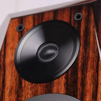 Enceintes de sol audiophiles TLH-13 12 pouces, tweeters authentiques Scan-Speak et basses UK Volt Octopus, tour passive HiFi