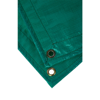 Litong Coins renforcés Bâche PE Feuille de plastique Couverture de camion Bâche PE anti-UV