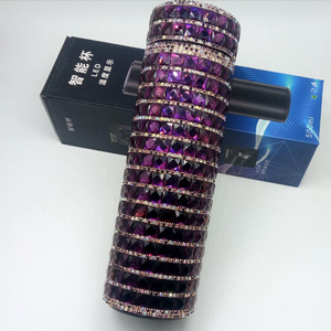 Termo Inteligente Diamond de 500 ml con Pantalla LED de Temperatura, Regalo para <span class=keywords><strong>Mujer</strong></span>, Gran Venta - Product Image 1