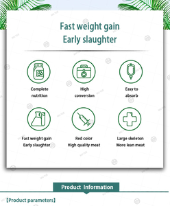 Proteína en Polvo Multivitamínica de Grado Alimenticio para Ganancia de Peso en Pollos de Engorde - Product Image 4