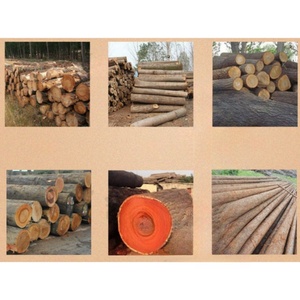 เครื่องเลื่อยสายพานอัตโนมัติอเนกประสงค์สำหรับงานไม้และตัดไม้ - Product Image 6