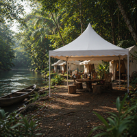 Tente de réception pour 6 à 8 personnes, petite tente de jardin en PVC transparente, tente de pagode en vente, tente extérieure imperméable en aluminium DC, ISO9001