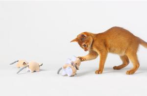 Nuevo Estilo Sostenible <span class=keywords><strong>Catnip</strong></span> gato juguete interactivo algodón peluche ratón juguete para gatos - Product Image 5