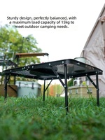 Table de camping pliante portable avec plateau en maille métallique, table de pique-nique légère, bureau pliable pour barbecue, randonnée, voyage, fête en plein air