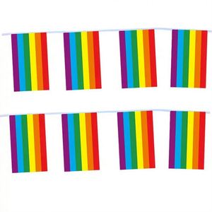 Lgbt Gay Rainbow Polyester Pride String <b>Flag</b> for Festival Party Celebration Decoration - Product Image 2