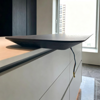 Ensemble d'armoires de cuisine sur mesure avec cuisinière intégrée et rangement global intégré. Meubles de cuisine sur mesure.