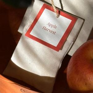 Amuletos Aromáticos <span class=keywords><strong>de</strong></span> Tela Hechos a Mano con <span class=keywords><strong>Frases</strong></span> Vintage para Decoración del Hogar, Bolsitas Perfumadas - Product Image 4