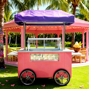 REALLY 2025 Carrito de Helados Eléctrico de Fibra de Vidrio con Motor sin Escobillas y Batería de Litio - Product Image 1
