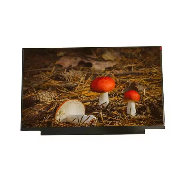 N140HCE-EN1 14.0 Inch Antiglare 1920*1080 AAS WLED 30 Pins Tft Lcd Panel Lcd Display Screen