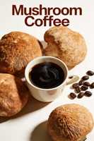Poudre de café aux champignons biologique, mélange de champignons, extrait de plantes mélangées, marque privée OEM