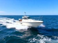 Bateau de pêche en fibre de verre Grandsea, longueur 29 pieds, petite cabine, bateau de pêche avec moteur hors-bord à vendre