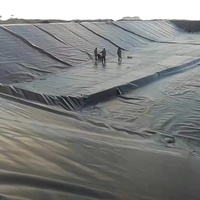 Géomembrane HDPE pour réservoir de récupération des eaux pluviales – Usine avec 61 ans d'expérience