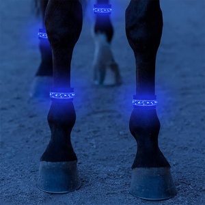 LINLI alta visibilità e sicurezza per il cavaliere di <span class=keywords><strong>cavallo</strong></span> di notte gli stivali da <span class=keywords><strong>cavallo</strong></span> <span class=keywords><strong>a</strong></span> LED illuminano la presa di <span class=keywords><strong>cavallo</strong></span> per equitazione e parata - Product Image 4