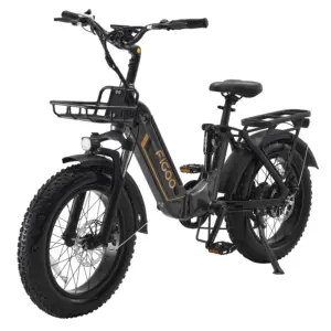 FIGOO-Bicicleta eléctrica híbrida de alta calidad, bici de montaña plegable de 20 pulgadas, 48v, 14ah, 500w, 800W