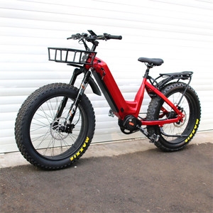 Vélo électrique <span class=keywords><strong>ROHLOFF</strong></span> à 14 vitesses, <span class=keywords><strong>moyeu</strong></span> IGH, 1000W, cadre bas, batterie 48V 30Ah, moteur central, vélo électrique à 11 vitesses, transmission par courroie - Product Image 1