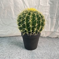 Plante artificielle en plastique réaliste, cactus artificiel sans entretien pour la décoration intérieure et extérieure, maison, bureau