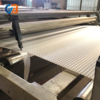 Planche de drainage en HDPE à hauteur personnalisable, résistante à la corrosion, pour usage extérieur (jardin, parc, école), fabriquée de manière écologique