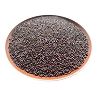 Uitstekende kwaliteit premium AD rauwe mosterdzaadpoeder, sterke smaak, natuurlijke kruid voor gebruik in keuken, restaurant en catering.