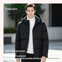 Vestes d'hiver à capuche pour hommes, veste matelassée imperméable personnalisée, vestes d'hiver en gros pour hommes