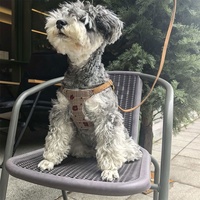 Ensemble de harnais réglable en dentelle pour chien, laisse et collier personnalisables par sublimation, harnais pour chien à enfiler blanc et marron